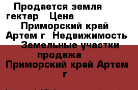 Продается земля 23,6 гектар › Цена ­ 21 600 000 - Приморский край, Артем г. Недвижимость » Земельные участки продажа   . Приморский край,Артем г.
